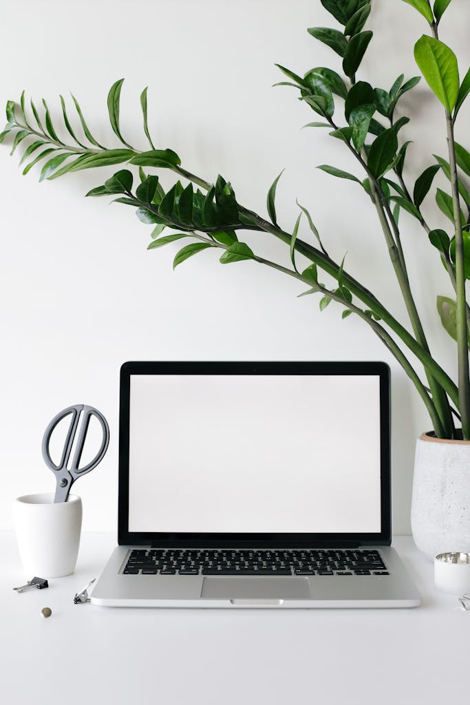 A minimalist workspace featuring a laptop and green houseplant for a fresh, clean look.